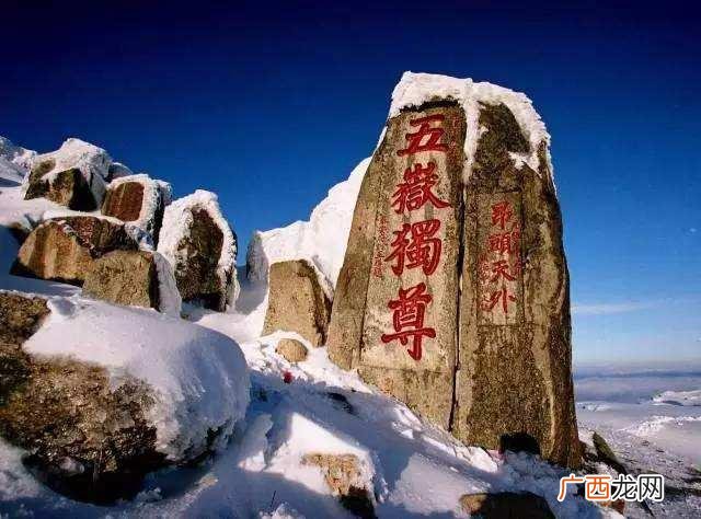 四书是指,四书，五经，四史，五岳，花中四君子各是什么？