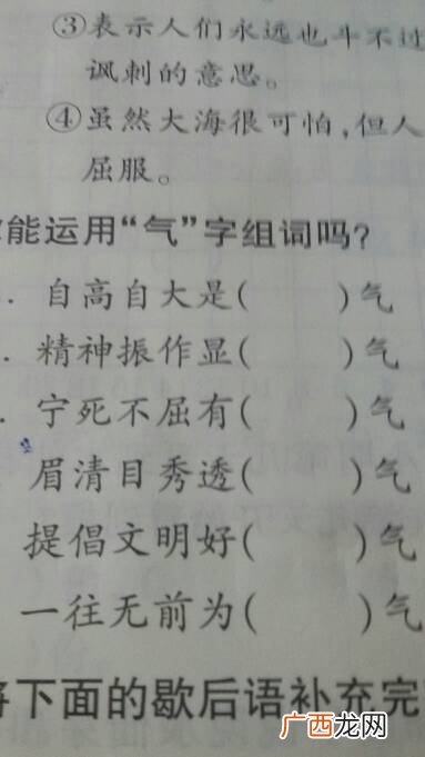 脾组词脾的组词脾字怎么组词,脾字的笔顺和组词？