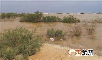 塔克拉玛干沙漠遭遇洪水原因,塔克拉玛干沙漠洪水过程？
