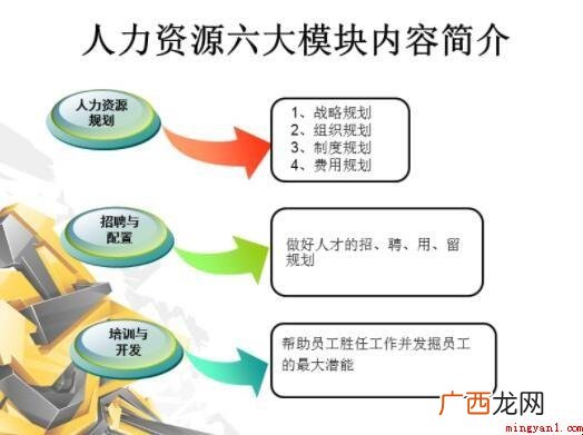 hr六大模块是啥?_HR资讯 hr六大模块是什么
