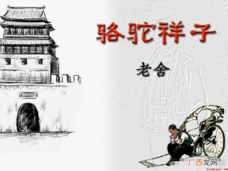 《大象祥子》的精彩句段有什么 《骆驼祥子》的精彩句段有哪些