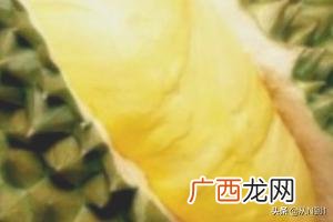 榴莲能放冰箱冷藏几天,榴莲放冰箱可以放多久？