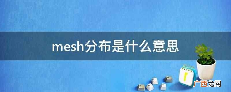 mesh分布是什么意思