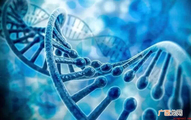 基因DNA分子发生的忽然的、可基因遗传的突变状况 基因突变的特点是什么