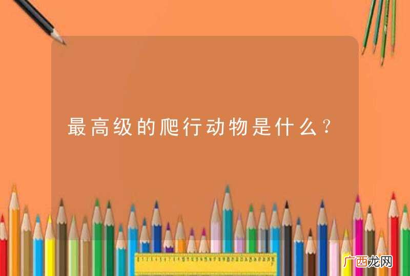 最高级的爬行动物是什么？
