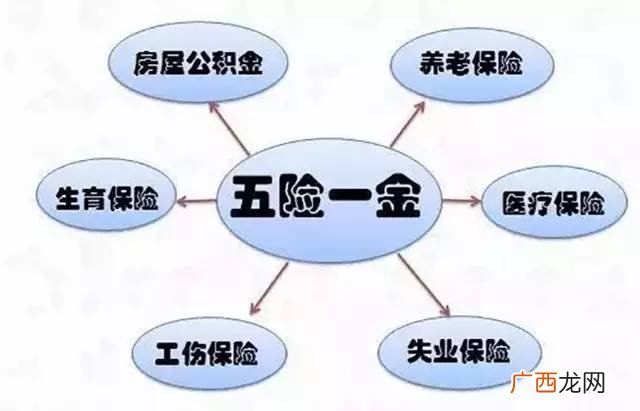 五险两金是指,事业单位有编制交几险几金？