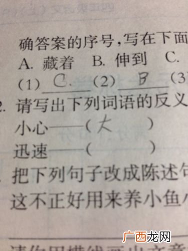 小心的反义词是什么,不小心的反义词？