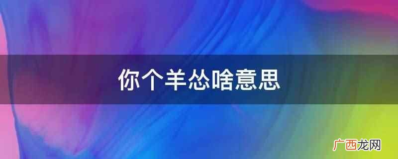 你个羊怂啥意思