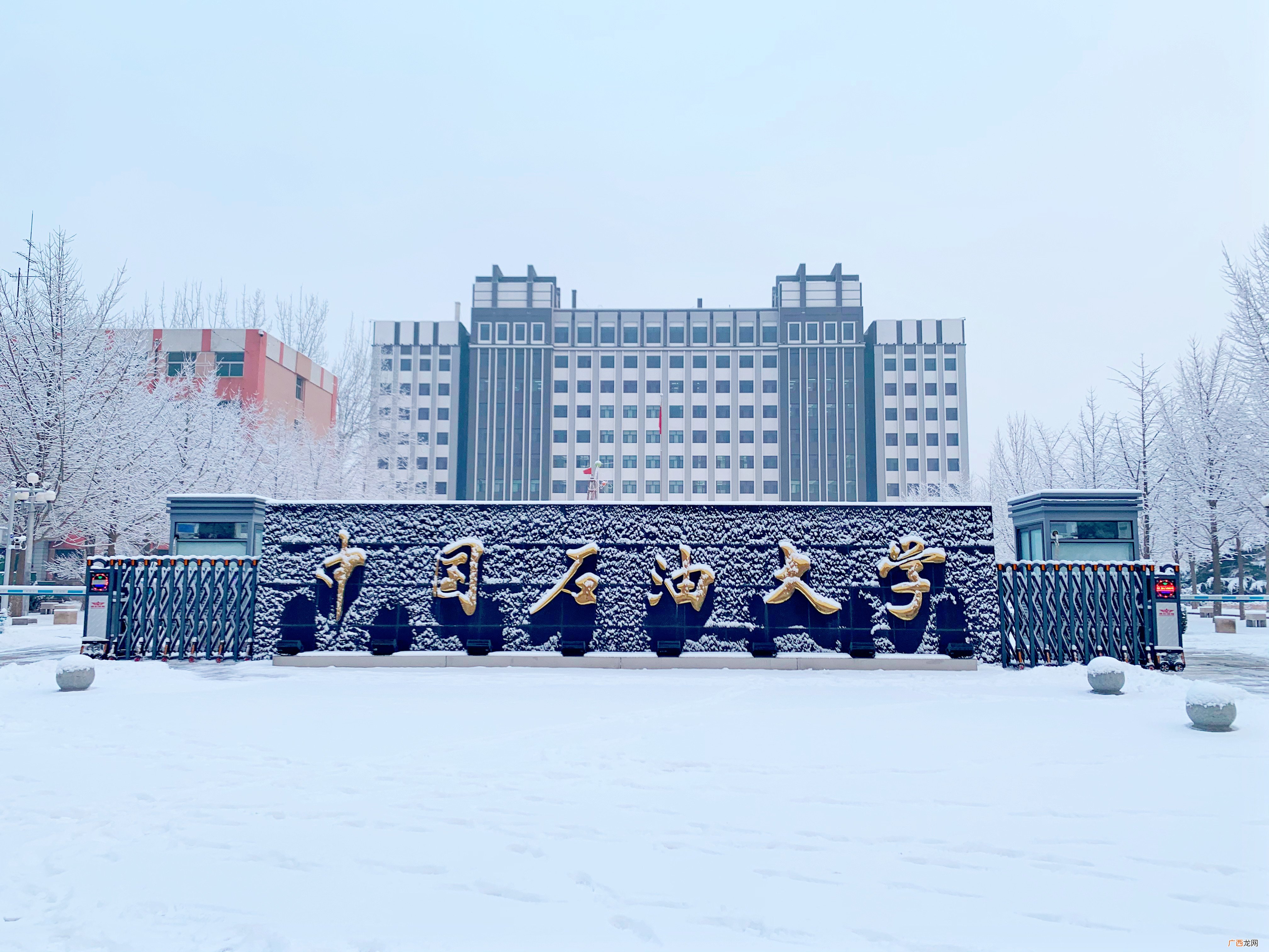 中国石油大学就业介绍 中国石油大学是211还是985