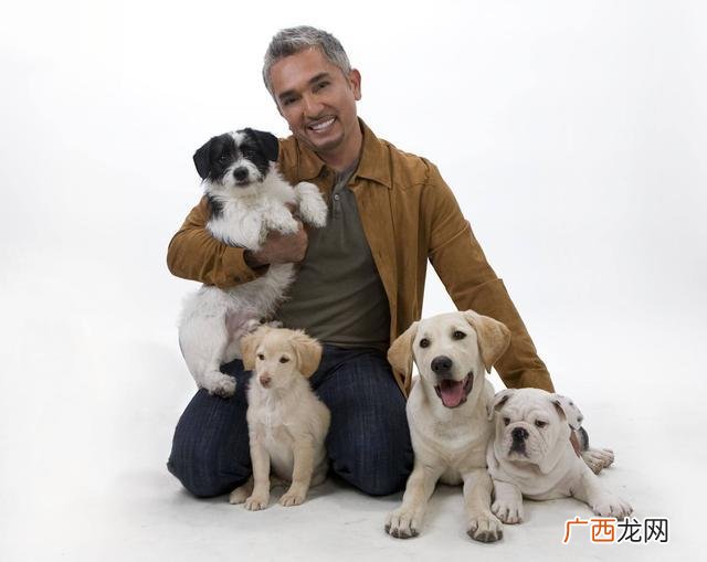 怎么教狗狗上厕所的地方,狗狗拉粑粑窝的地方叫什么？
