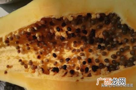 制作美味可口的木瓜干,木瓜干怎么制作更好吃？