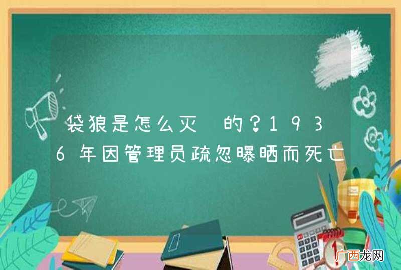 袋狼是怎么灭绝的？1936年因管理员疏忽曝晒而死亡