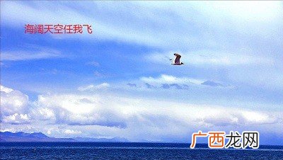 沧海是什么意思,沧海月明什么意思？