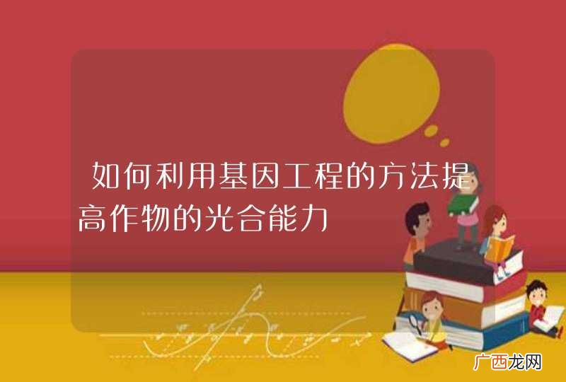 如何利用基因工程的方法提高作物的光合能力