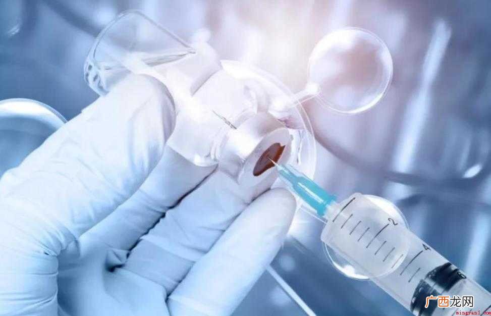 拉布拉多打什么疫苗