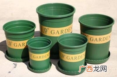 1加仑盆什么意思,加仑花盆是什么意思？