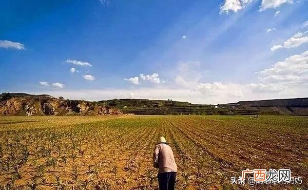 怎么算地亩数,怎样算地亩数？