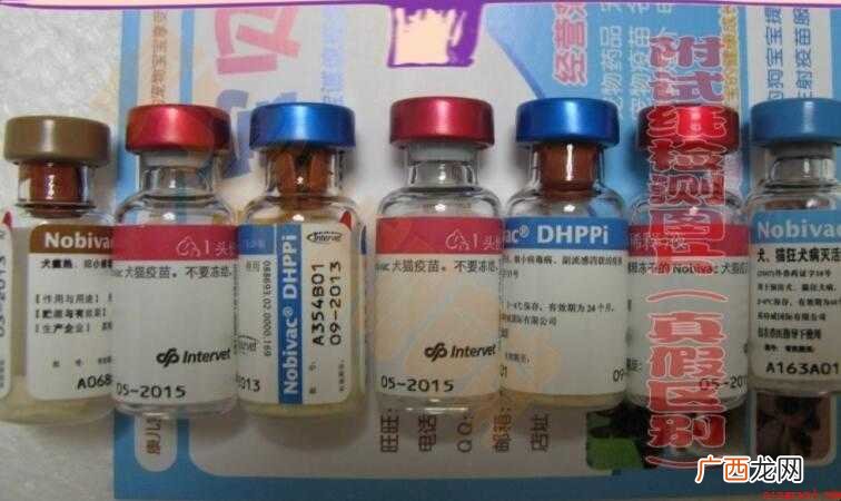 六联疫苗是什么意思