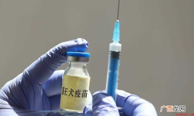 狂犬疫苗必须打满5针吗