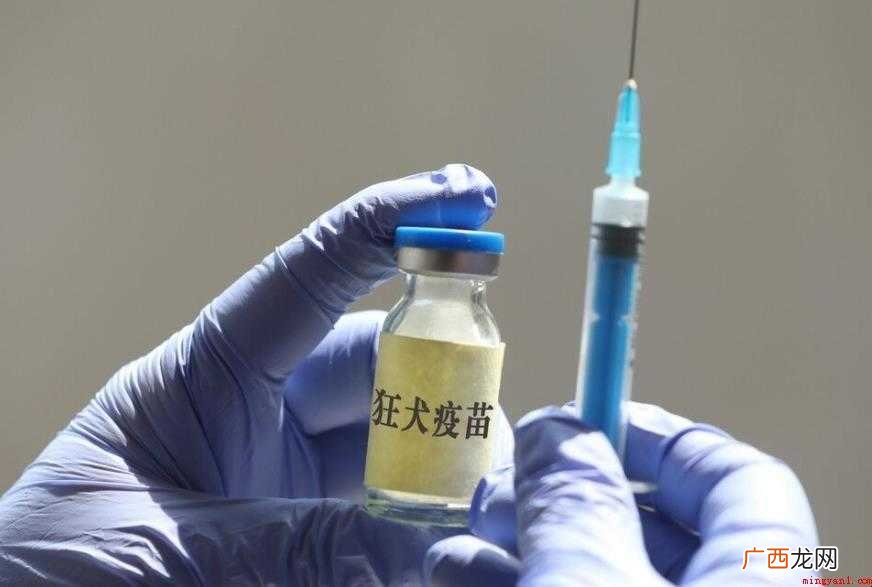 狂犬疫苗可以报医保吗