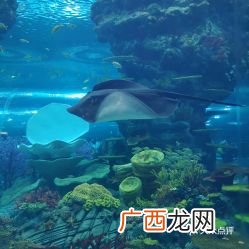 上海海洋公园,海昌公园有充电桩吗？