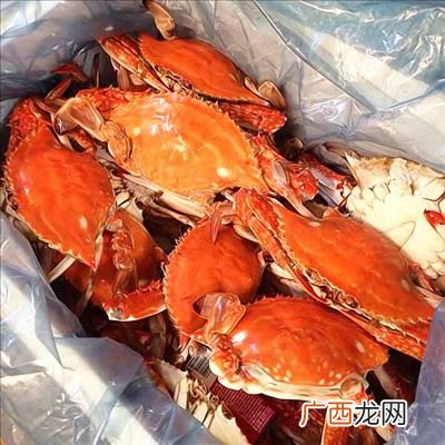 梭子蟹分公母怎么分辨,梭子蟹是公的好吃还是母的好吃？