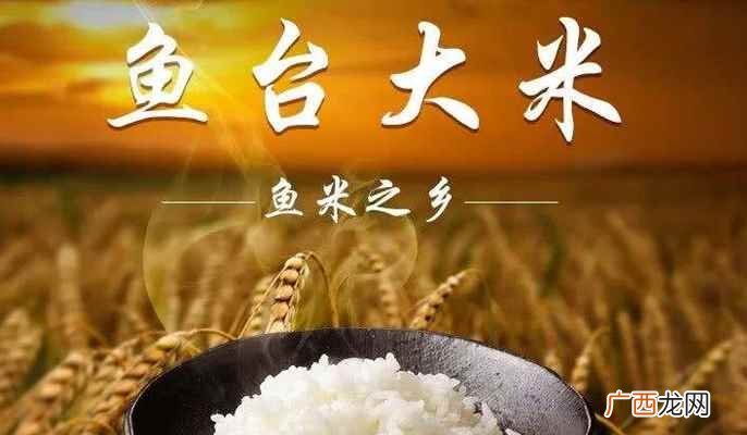济宁是哪个省的城市