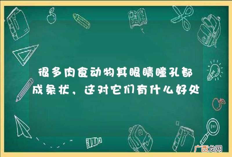 很多肉食动物其眼睛瞳孔都成条状，这对它们有什么好处？
