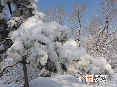 描写雪景色的句子,大雪纷飞的优美句子？