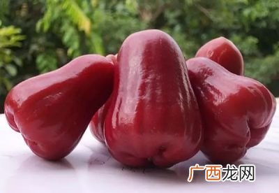 莲雾热量高吗,莲雾树开花怎么结果？