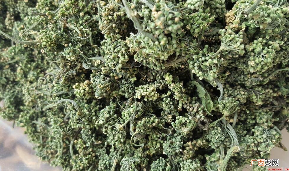 人参花和人参的区别是什么