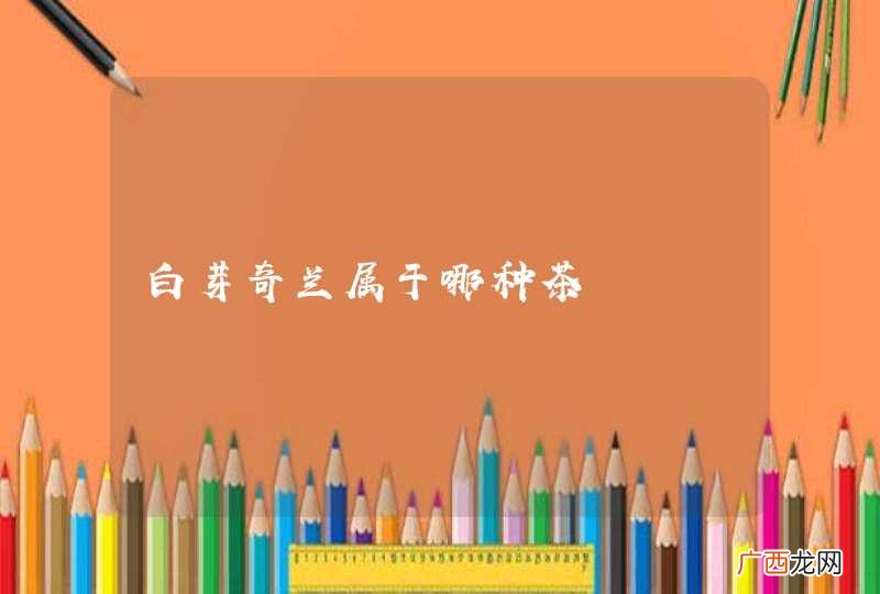 白芽奇兰属于哪种茶