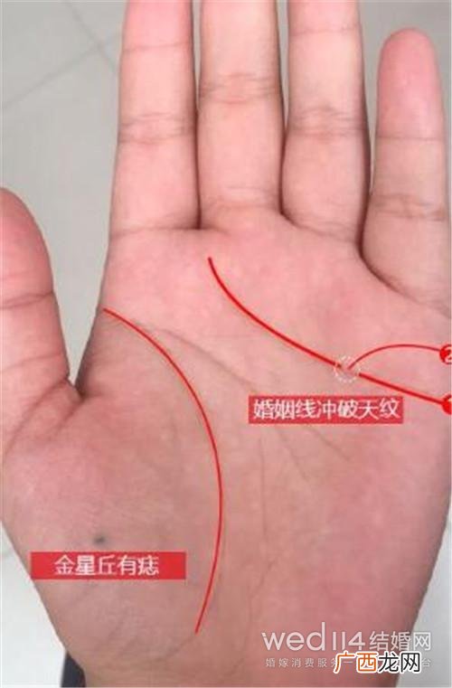 女人旺夫带财手相 女生手相纹路大全图解