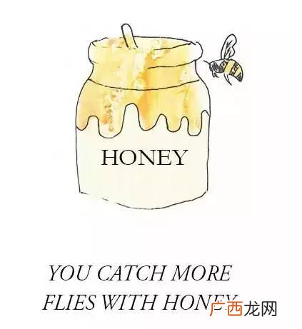 bad的英语是什么,坏的用英语单词怎么写？