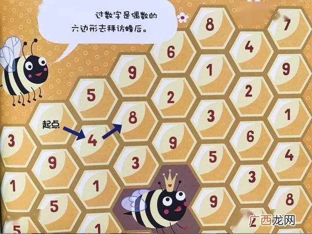 什么是奇数和偶数的概念,一到三十的奇数和偶数？