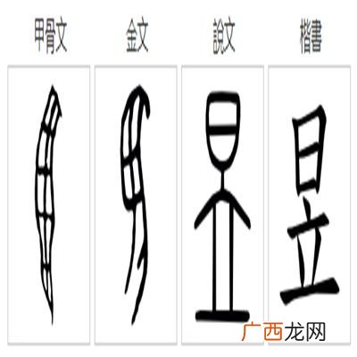 上下结构日立念什么,昱字怎么拆解？