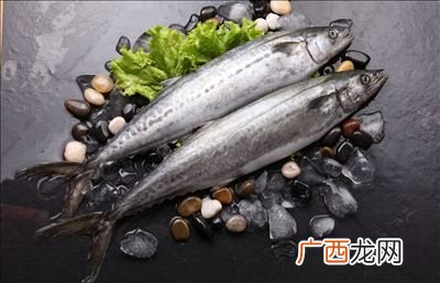 鲅鱼是海鱼吗,鲅鱼的寓意和象征？