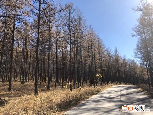 沈阳去阿尔山自驾游攻略,求助沈阳到阿尔山自驾游的线路及所用时间和费用，谢谢？