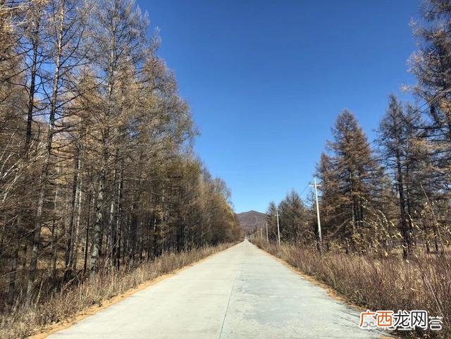 沈阳去阿尔山自驾游攻略,求助沈阳到阿尔山自驾游的线路及所用时间和费用，谢谢？