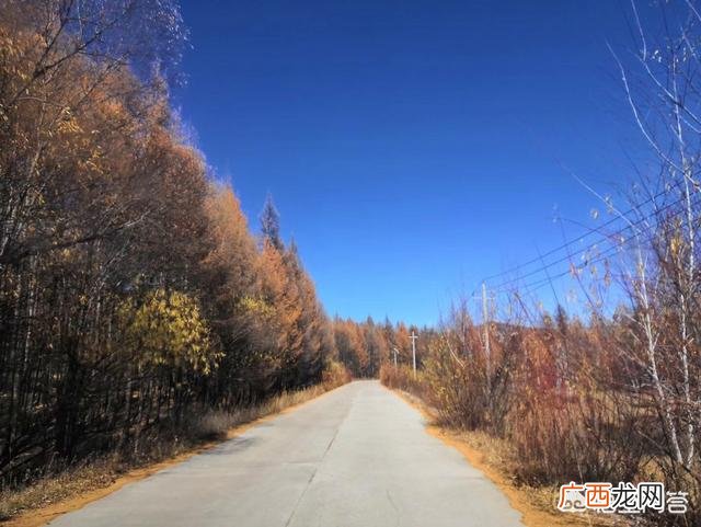 沈阳去阿尔山自驾游攻略,求助沈阳到阿尔山自驾游的线路及所用时间和费用，谢谢？