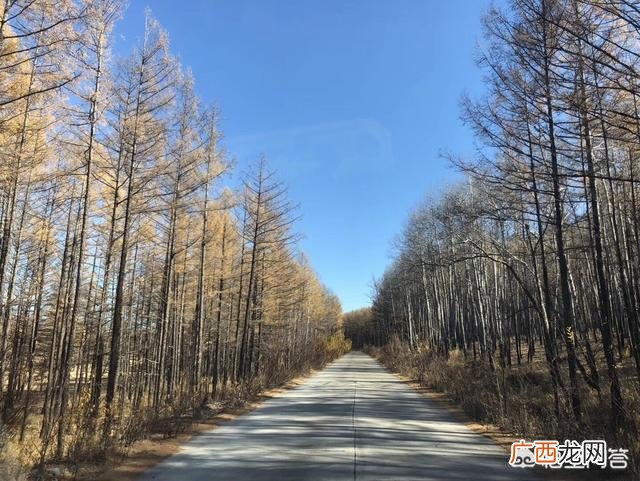 沈阳去阿尔山自驾游攻略,求助沈阳到阿尔山自驾游的线路及所用时间和费用，谢谢？