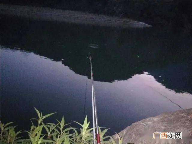 夜钓最佳时间,钓鱼早口晚口时间？