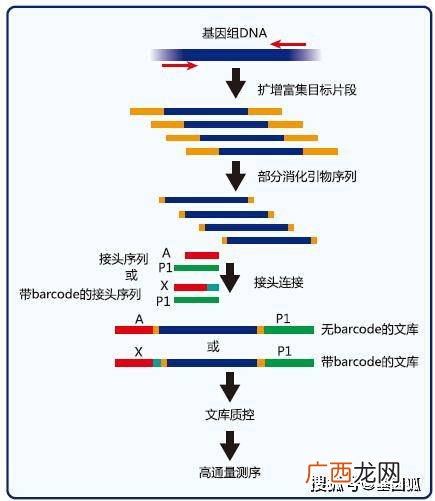 基因变异是什么意思啊,人变异是什么意思?