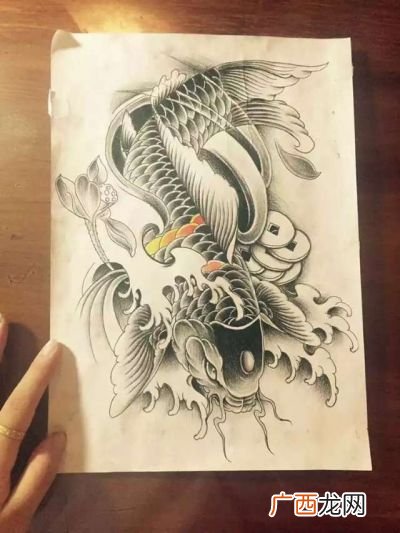 纹鲤鱼有什么讲究请高人指点,纹黑鲤鱼是什么意思？