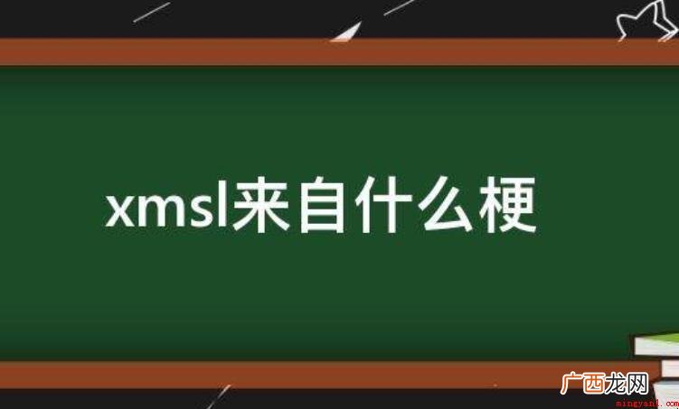 xmsl什么梗 网络语是伴随着网络的发展而新兴的一种有别于传