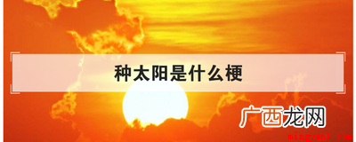 种太阳是什么梗