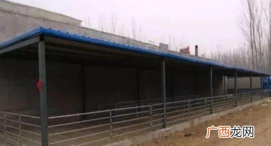 如何建设羊舍,圈养1000只羊需要多大场地？