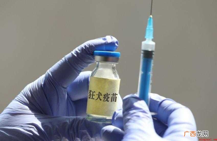 医院晚上能打狂犬疫苗吗