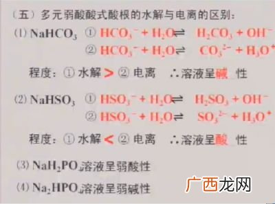 多元弱酸的酸式酸根是什么意思,酸式根的含义？