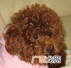怎么描写夏天的风,描写夏天的风的五感？